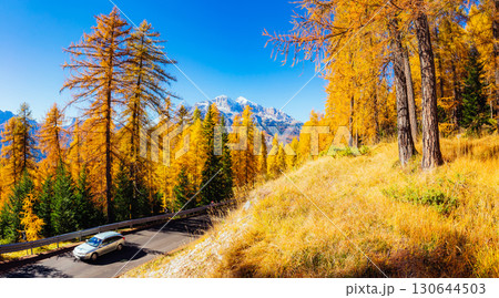 Magical yellow larches. Location place Dolomiti Alps, Cortina d'Ampezzo, Italy, Europe. 130644503