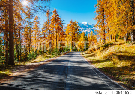 Magical yellow larches. Location place Dolomiti Alps, Cortina d'Ampezzo, Italy, Europe. 130644650