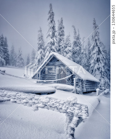 Alpine hut covered with snow. Location Ukraine, Europe. 130644655