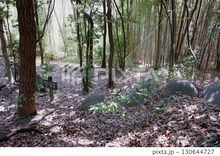 岡山県　楯築遺跡　向山古墳群9号墳 130644727
