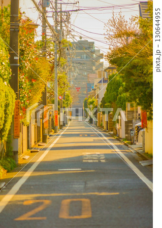 善福寺住宅街の朝光 130644955