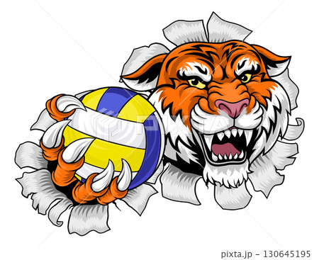 Tiger Volleyball Volley Ball Animal Sports Mascot 130645195