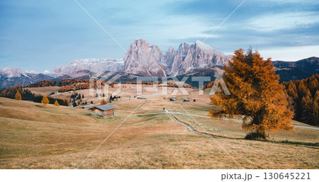 Lovely yellow field in sunlight. Location place Dolomiti, Compaccio village, Alpe di Siusi, Province of Bolzano - South Tyrol, Italy, Europe. Lovely yellow field in sunlight. Location place Dolomiti, Compaccio village, Alpe di Siusi, Province of Bolzano - South Tyrol, Italy, Europe. 130645221