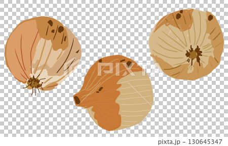 ラフな手描き風のタマネギのイラスト素材セット 130645347