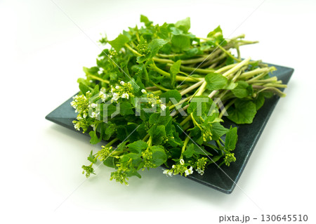 花わさびの皿盛り 130645510