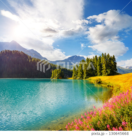 Majestic view of the azure pond Champfer. Location place Silvaplana village, Swiss alps, 130645668