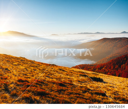 Majestic view of the mountains covered with thick fog. Majestic view of the mountains covered with thick fog. 130645684