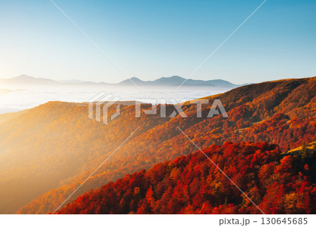 Breathtaking morning moment in alpine foggy valley. Location place of Carpathian mountains, Ukraine, Europe. Breathtaking morning moment in alpine foggy valley. Location place of Carpathian mountains, Ukraine, Europe. 130645685