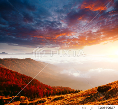 Breathtaking morning moment in alpine foggy valley. 130645687