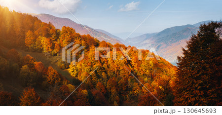 Bright autumn forest on a mountain slope.  Location place of Carpathian mountains, Ukraine, Europe. 130645693