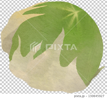 棉花插圖素材 130645927