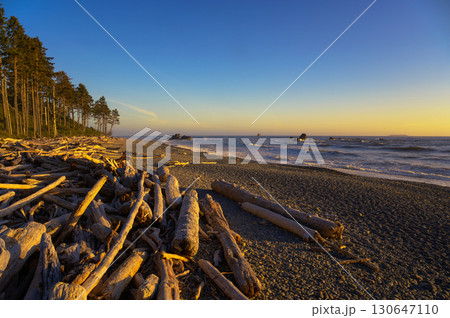 Driftwood-Strewn Shoreline at Ruby Beach, Washington 130647110