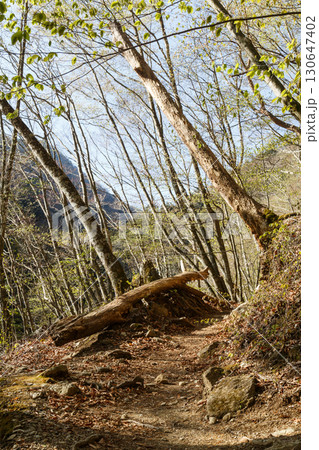 西沢渓谷　渓谷　山梨県 130647402