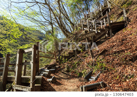 西沢渓谷 渓谷 山梨県 西沢渓谷 渓谷 山梨県 130647403