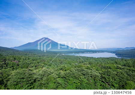 パノラマ台から見る夏の富士山 130647456