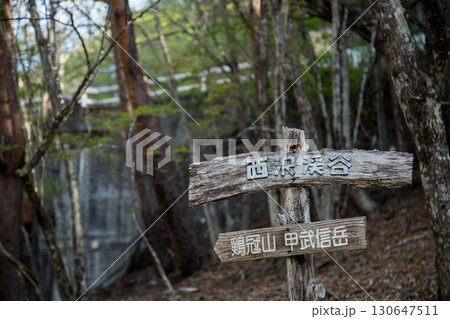 西沢渓谷　渓谷　山梨県 130647511