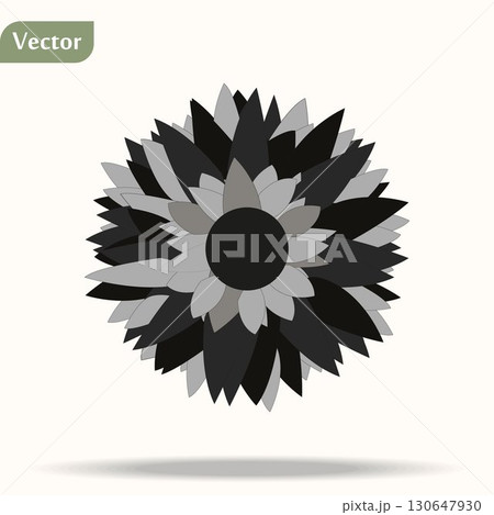 Sunflower isolated on white background eps10 illustration 130647930