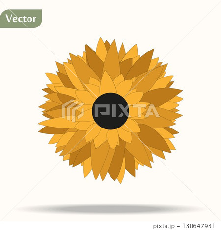 beautiful sunflower icon, abstract natural flower background 130647931