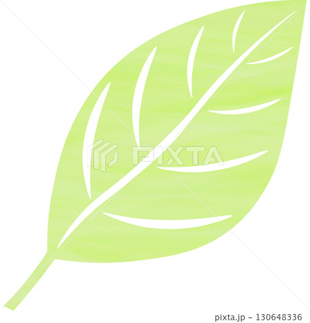 綺麗な水彩模様の葉っぱのアイコンのイメージのイラスト 綺麗な水彩模様の葉っぱのアイコンのイメージのイラスト 130648336