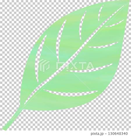 美麗的水彩葉子圖示圖像的插圖 130648340