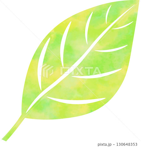 綺麗な水彩模様の葉っぱのアイコンのイメージのイラスト 綺麗な水彩模様の葉っぱのアイコンのイメージのイラスト 130648353
