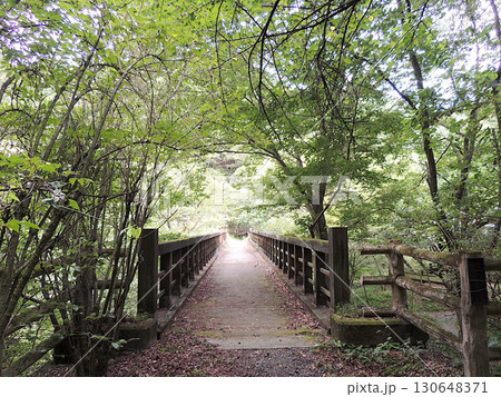 小平湿性植物園 小平湿性植物園 130648371