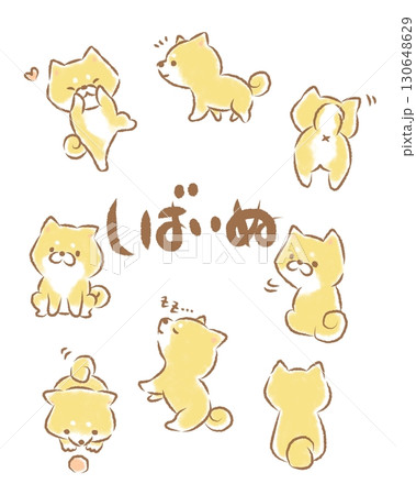 柴犬さん詰め合わせ　背景なし 130648629