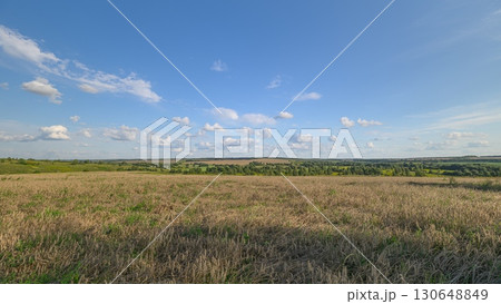 Vast Open wheat Fields That Stretch Beneath a Clear and Bright Blue Sky, Full of Endless Possibilities Vast Open wheat Fields That Stretch Beneath a Clear and Bright Blue Sky, Full of Endless Possibilities 130648849