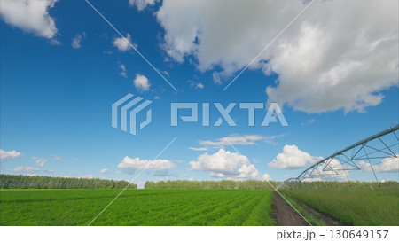 A Vibrant Lush Green Field Sprawled Beneath a Bright Blue Sky Adorned with Fluffy Clouds A Vibrant Lush Green Field Sprawled Beneath a Bright Blue Sky Adorned with Fluffy Clouds 130649157