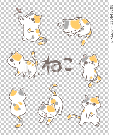 無背景的各種貓 130649209