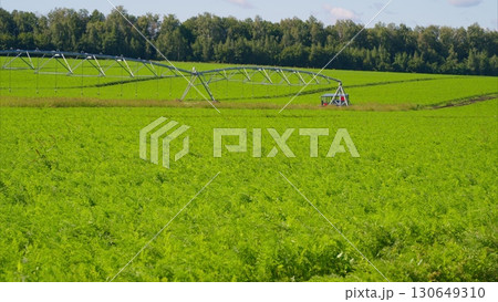 A Vibrant Agricultural Field Boasting an Advanced Irrigation System for Optimal Growth 130649310