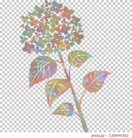 綺麗な水彩模様のアジサイのアイコンのイメージのイラスト 130649362