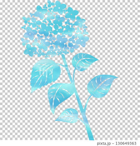 美麗的繡球花圖示圖像插圖的水彩圖案 美麗的繡球花圖示圖像插圖的水彩圖案 130649363