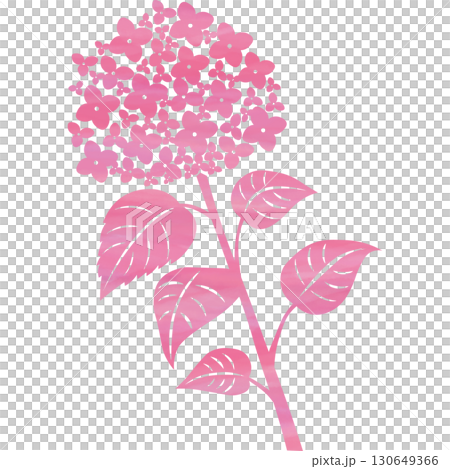 美麗的繡球花圖示圖像插圖的水彩圖案 美麗的繡球花圖示圖像插圖的水彩圖案 130649366