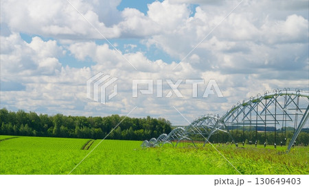 Vibrant Green Fields with an Efficient Irrigation System Beneath a Beautiful Blue Sky 130649403