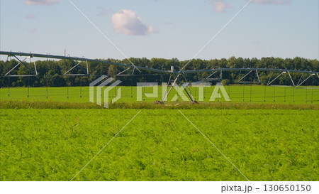 The Automated Irrigation System designed for use in various Agricultural Fields and settings 130650150