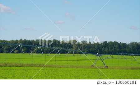 An Innovative Irrigation System in a Lush, Green Field for Sustainable Agriculture Practices An Innovative Irrigation System in a Lush, Green Field for Sustainable Agriculture Practices 130650181