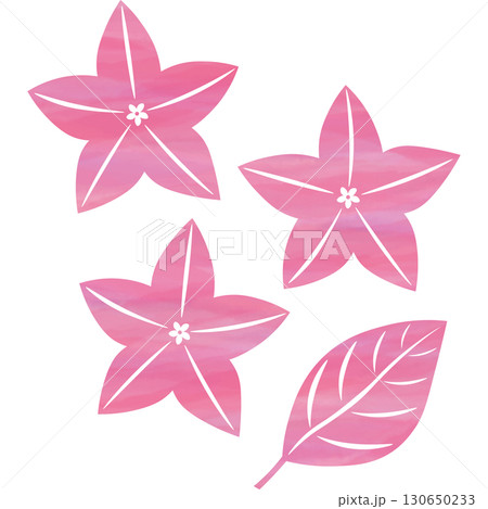 綺麗な水彩模様の桔梗のアイコンのイメージのイラスト 綺麗な水彩模様の桔梗のアイコンのイメージのイラスト 130650233