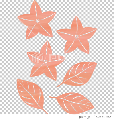 美麗的水彩畫風鈴草圖示圖像插圖 130650262