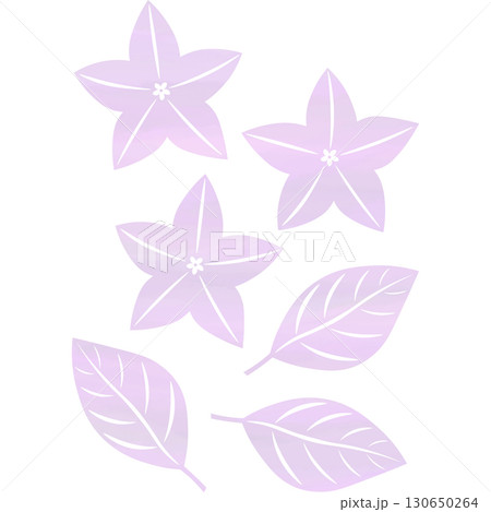 綺麗な水彩模様の桔梗のアイコンのイメージのイラスト 130650264
