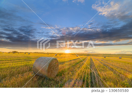 A Captivating and Beautiful Golden Sunset Set Over Lush Rolling Fields Adorned with Hay Bales 130650580