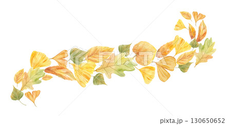 Flying autumn leaves banner. Fall golden and yellow green oak, aspen, ginkgo, linden, poplar, ash leaf watercolor horizontal illustration for design, decoration, greeting card, invitation 130650652