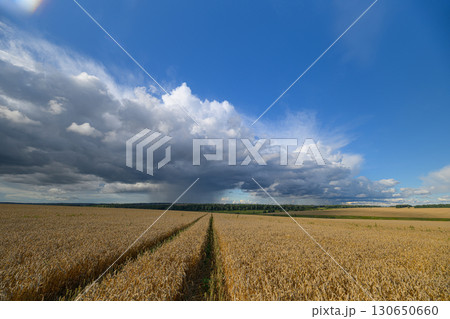 Expansive Agricultural Landscape Under Dramatic and Stunningly Beautiful Skies Above Expansive Agricultural Landscape Under Dramatic and Stunningly Beautiful Skies Above 130650660