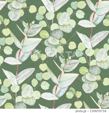 Eucalyptus branch with pointed leaves watercolor seamless pattern on textured green background. Hand-painted art ideal for textile, natural cosmetics branding, packaging, fabric, eco decor, stationery Eucalyptus branch with pointed leaves watercolor seamless pattern on textured green background. Hand-painted art ideal for textile, natural cosmetics branding, packaging, fabric, eco decor, stationery 130650738