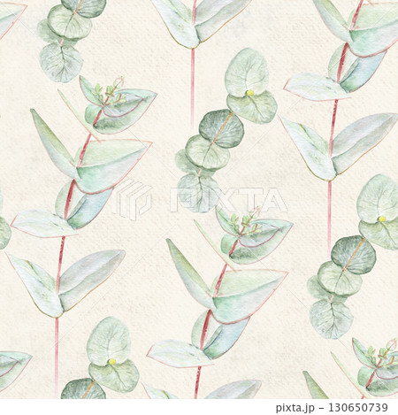 Eucalyptus branch with pointed leaves watercolor seamless pattern on textured paper background. Hand-painted art ideal for textile, natural cosmetics branding, packaging, fabric, eco decor, stationery 130650739
