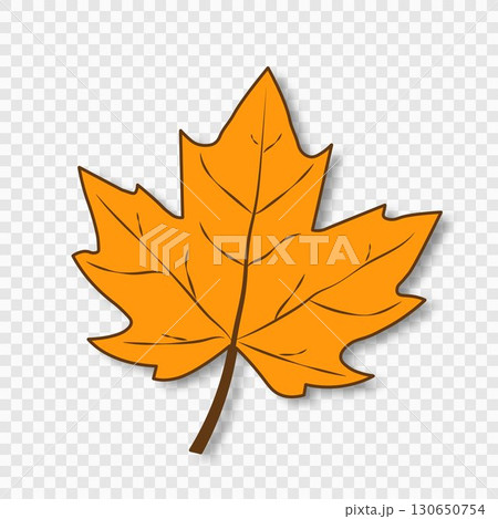 An orange, fallen maple autumn leaf with veins highlighted on a transparent background. 130650754
