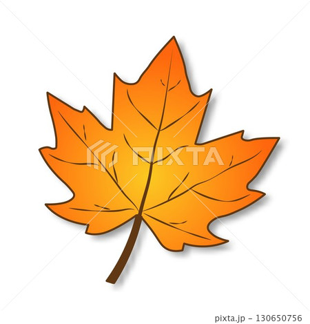 Yellow maple autumn tree leaf on transparent background. Yellow maple autumn tree leaf on transparent background. 130650756