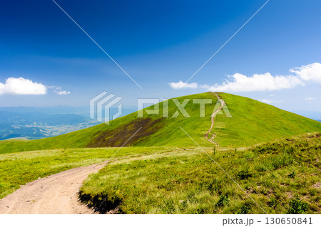 mountain trail to the top of the summit. summer travel landscape under deep blue sky with fluffy clouds. sunny weather. borzhava ridge of transcarpathia, ukraine 130650841