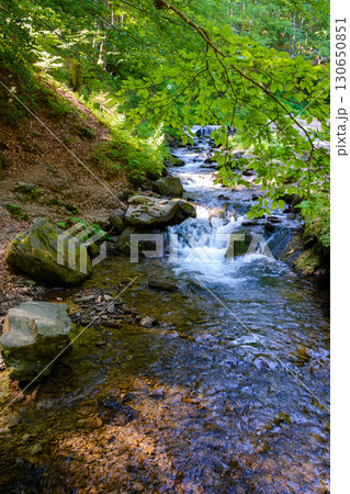 shypit water stream in the dense forest. scenic green environment of ukraine woodland in summer. beautiful nature scenery. freshness of woods on a sunny mooring shypit water stream in the dense forest. scenic green environment of ukraine woodland in summer. beautiful nature scenery. freshness of woods on a sunny mooring 130650851