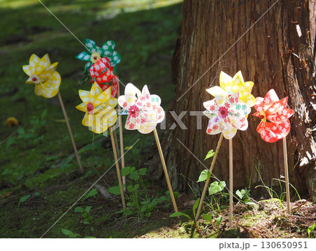 木の根元に刺されたカラフルなかざぐるま 130650951